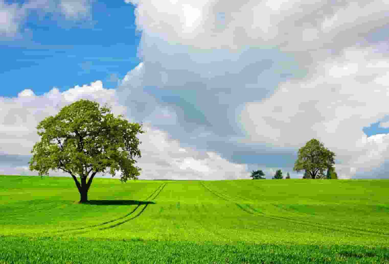 知乎携手京东、品牌商家，共创 11.11 家电家居消费指南