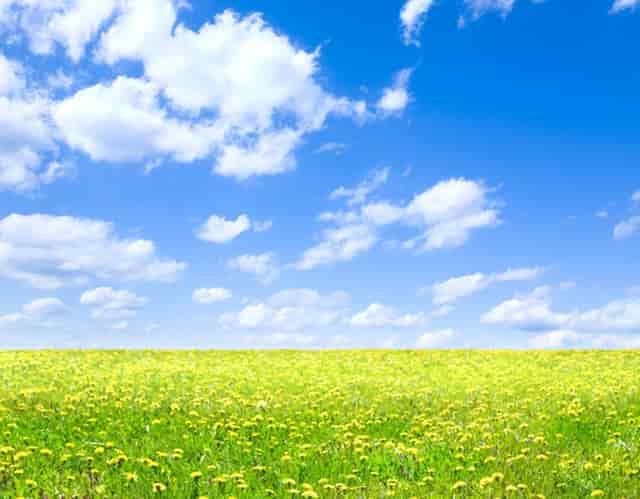 为什么欧美股市涨