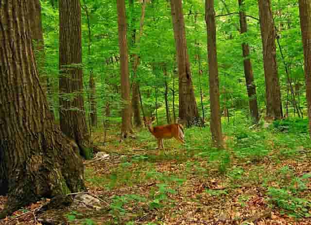 蔡嘉珍榮獲註冊理財規劃師資格