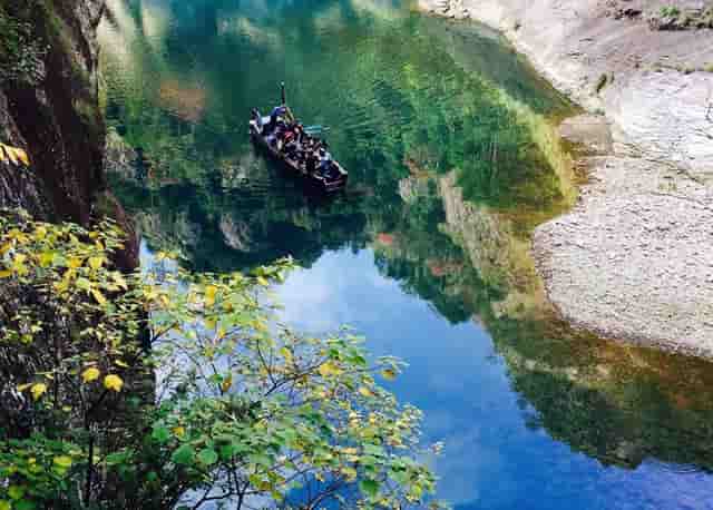 宠物经济前景广阔，袖虎宠物规模声势浩大！