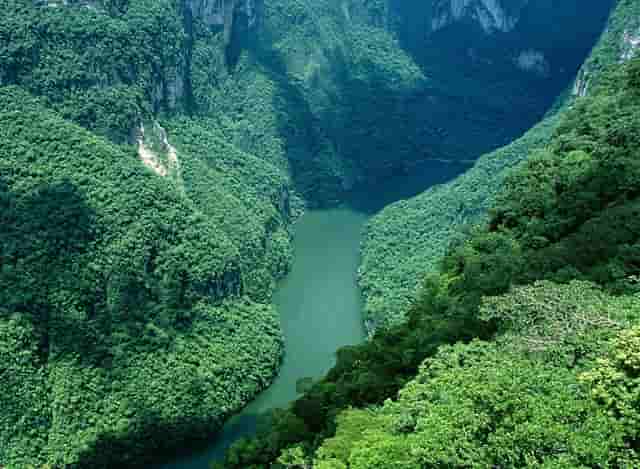 天籁太懂年轻人了