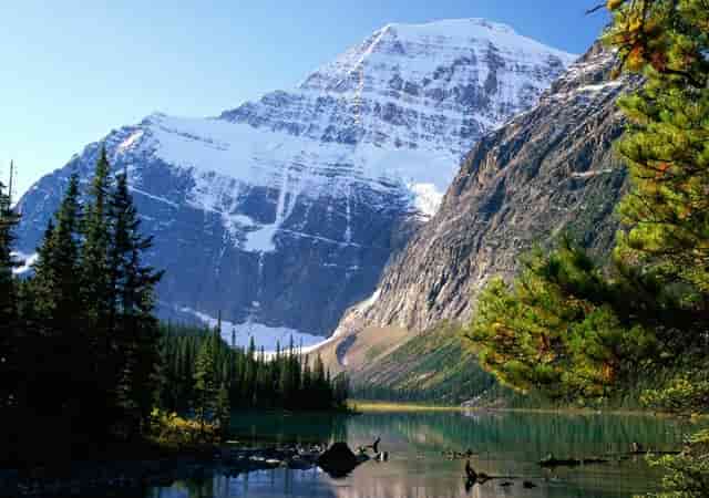 买股票怎么亏完的