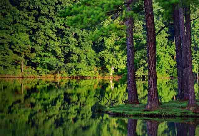 轻奢风格室内设计内容