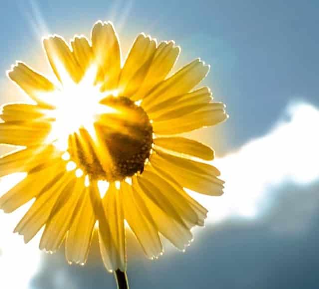 袖虎警告：这样洗澡会死猫！