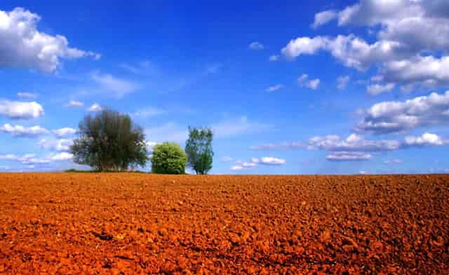 千车万人自驾中国“醉”美草原“99号公路”之旅暨《99号公路》网络微短剧项目启动