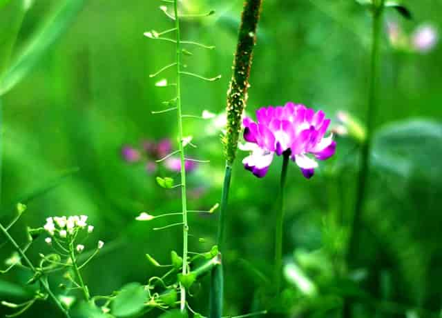 2021乘风大会长春场顺利召开，助力中小企业在高质量增长中“乘风破浪”