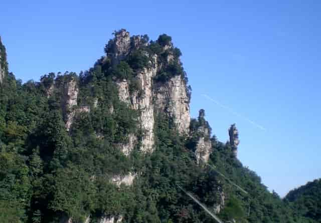 中国三分之一以上的新种在云南发现！