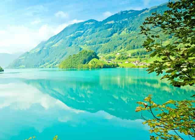 杏仁优护：患有肾硬化的老年人，居家如何护理？