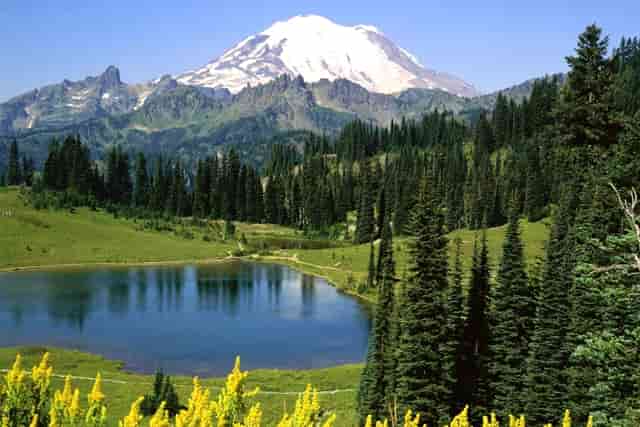 项链在家放的找不见了怎么办