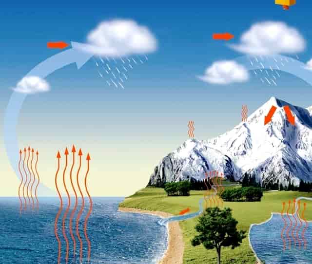 袖虎病猫攻略：猫剃毛有哪些坑