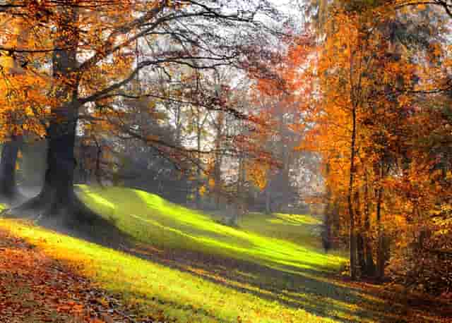 天目湖：产品迭代升级 经营创新突围