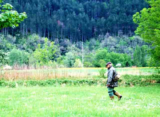 袖虎带你注意宠物美容的问题