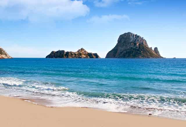 袖虎病狗攻略：狗狗也有白内障吗？