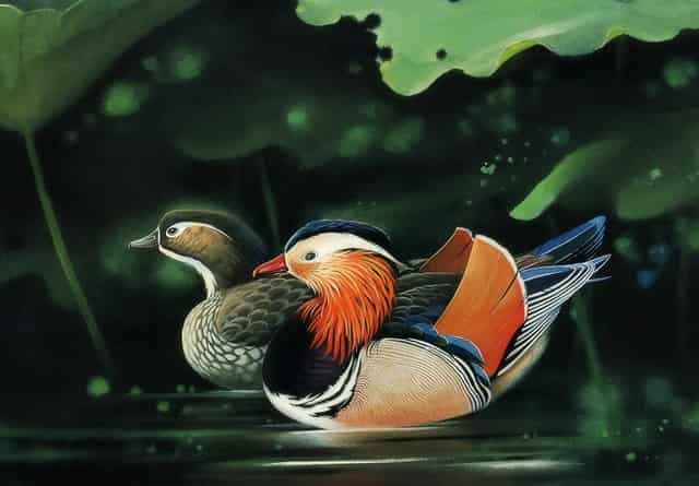 副热带高压进入黑龙江 北方多轮暴雨酝酿！南方热有什么解释？不仅仅是台风