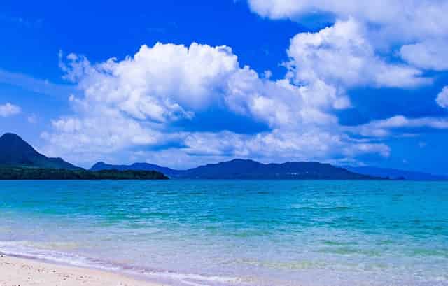 斯嘉丽约翰逊年少图