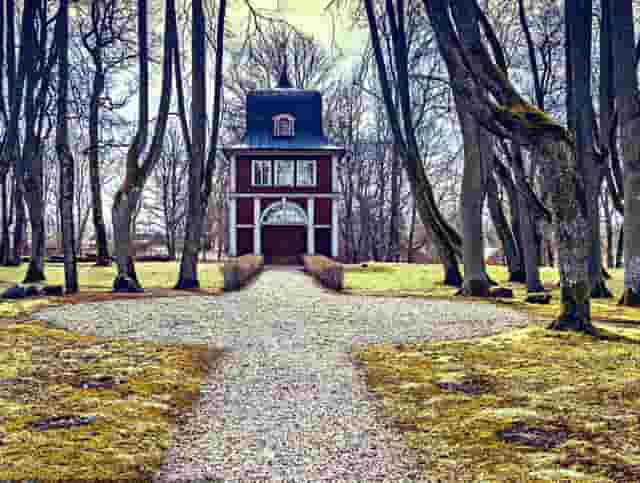 袖虎病猫攻略：猫咪消化不良的症状及治疗