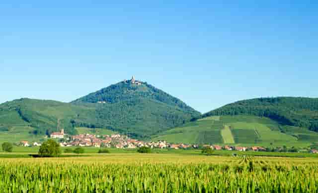 市场公平性何在“明目张胆直播”谁在随意切换天地板