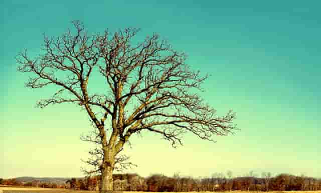 胖人时尚搭配男(男的白衬衫时尚搭配)