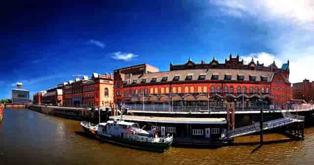 袖虎养宠秘笈：猫咪消瘦怎么办？关键还是在吃上