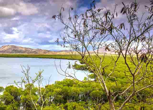 袖虎病猫研究;猫咪得了脂肪肝怎么办？如何照顾？