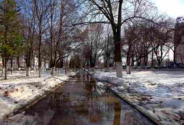 袖虎病猫攻略：猫咪眼睛受伤怎么办