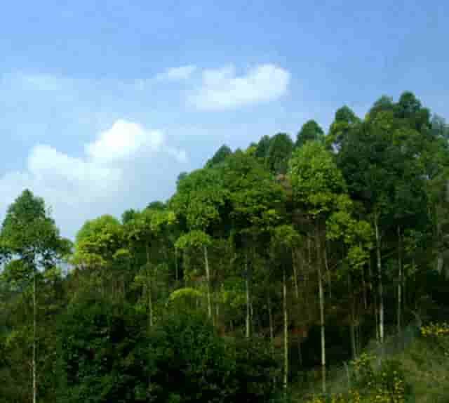 航选赋能康太空制水机，探索健康水新趋势