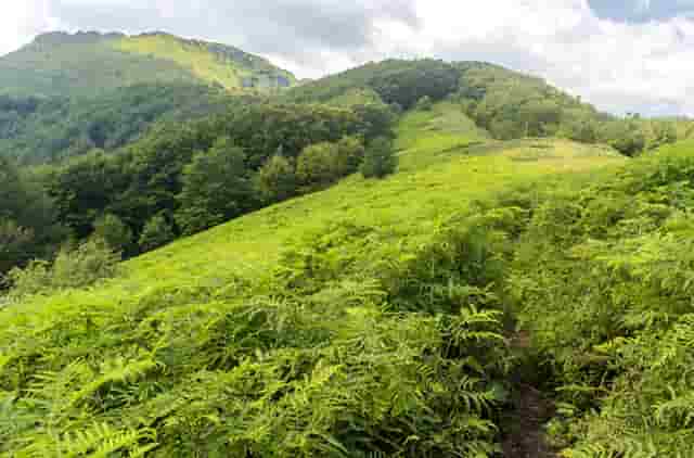 韩系风穿搭(misslala韩系穿搭)