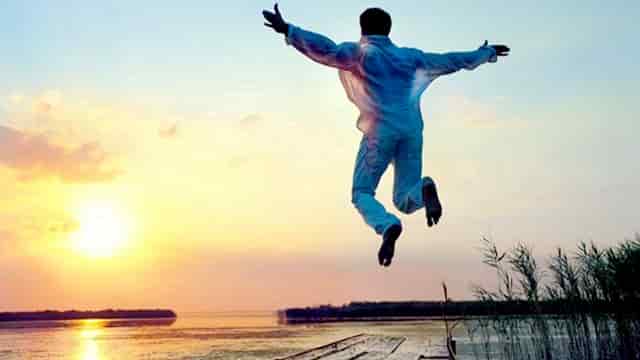 袖虎病猫攻略：冬季猫咪如何防猫癣？