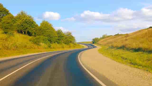 袖虎病狗攻略：狗狗体臭处理的五大方面