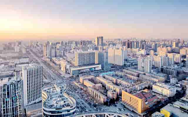 袖虎提醒遭遇骗子卖猫后主人怎么办